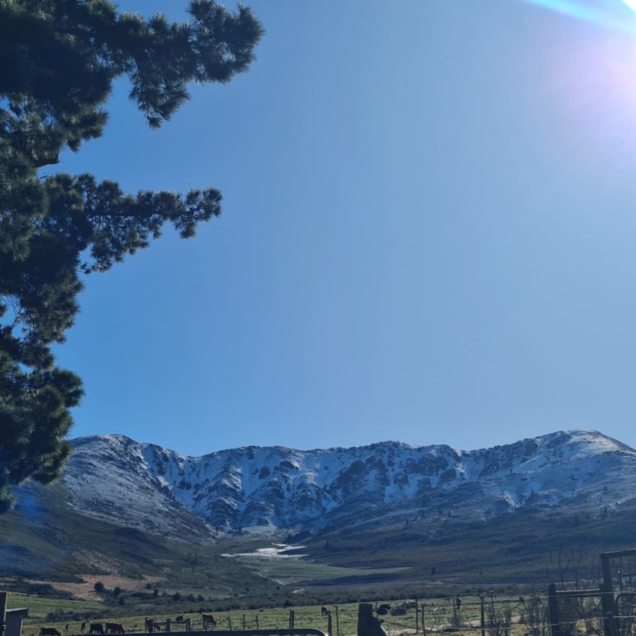 Commercial Property for Sale in Avontuur Western Cape